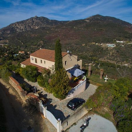 In'D'Noi Bed and Breakfast Ajaccio  Eksteriør billede
